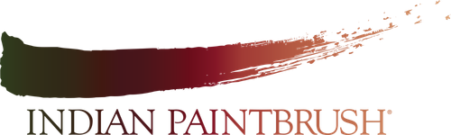 Indian Paintbrush production company logo