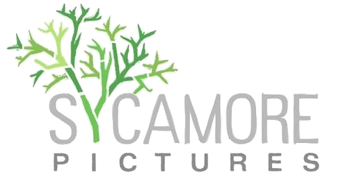Logo companie de producție Sycamore Pictures