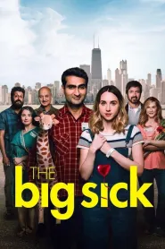 The Big Sick (2017)