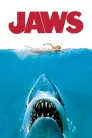 Jaws